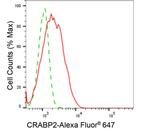 CRABP2 Antibody in Flow Cytometry (Flow)