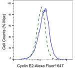 Cyclin E2 Antibody in Flow Cytometry (Flow)