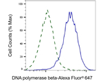 POLB Antibody in Flow Cytometry (Flow)