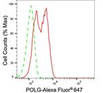 POLG Antibody in Flow Cytometry (Flow)