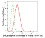 DCLK1 Antibody in Flow Cytometry (Flow)