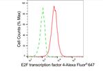 E2F4 Antibody in Flow Cytometry (Flow)