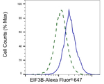 eIF3b Antibody in Flow Cytometry (Flow)