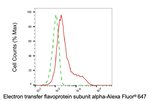 ETFA Antibody in Flow Cytometry (Flow)