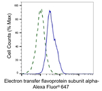ETFA Antibody in Flow Cytometry (Flow)