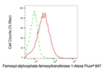 FDFT1 Antibody in Flow Cytometry (Flow)