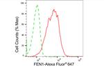 FEN1 Antibody in Flow Cytometry (Flow)
