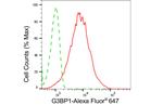 G3BP1 Antibody in Flow Cytometry (Flow)