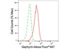 Gephyrin Antibody in Flow Cytometry (Flow)