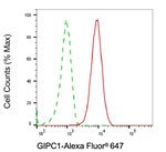 GIPC1 Antibody in Flow Cytometry (Flow)