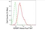 IGFBP7 Antibody in Flow Cytometry (Flow)