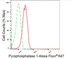 PPA1 Antibody in Flow Cytometry (Flow)