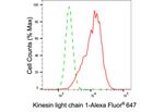 KLC1 Antibody in Flow Cytometry (Flow)