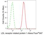 LRP1 Antibody in Flow Cytometry (Flow)