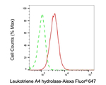 LTA4H Antibody in Flow Cytometry (Flow)
