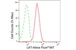 LAT Antibody in Flow Cytometry (Flow)