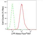 LPP Antibody in Flow Cytometry (Flow)