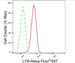 Lyn Antibody in Flow Cytometry (Flow)