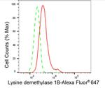 KDM1B Antibody in Flow Cytometry (Flow)