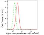 MVP Antibody in Flow Cytometry (Flow)