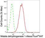 MDH1 Antibody in Flow Cytometry (Flow)
