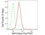 JNK3 Antibody in Flow Cytometry (Flow)