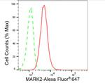 MARK2 Antibody in Flow Cytometry (Flow)