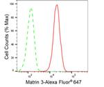MATR3 Antibody in Flow Cytometry (Flow)