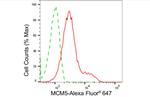 MCM5 Antibody in Flow Cytometry (Flow)