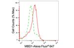 MBD1 Antibody in Flow Cytometry (Flow)