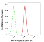 MVK Antibody in Flow Cytometry (Flow)