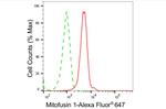 MFN1 Antibody in Flow Cytometry (Flow)