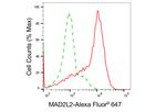MAD2L2 Antibody in Flow Cytometry (Flow)