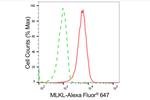 MLKL Antibody in Flow Cytometry (Flow)