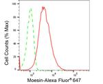 Moesin Antibody in Flow Cytometry (Flow)