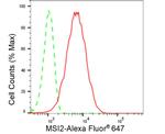 MSI2 Antibody in Flow Cytometry (Flow)