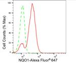 NQO1 Antibody in Flow Cytometry (Flow)