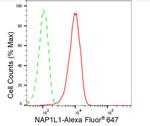 NAP1L1 Antibody in Flow Cytometry (Flow)
