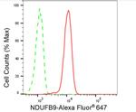 NDUFB9 Antibody in Flow Cytometry (Flow)