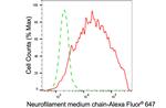 NEFM Antibody in Flow Cytometry (Flow)