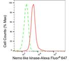NLK Antibody in Flow Cytometry (Flow)