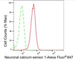 NCS1 Antibody in Flow Cytometry (Flow)
