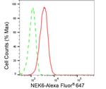NEK6 Antibody in Flow Cytometry (Flow)
