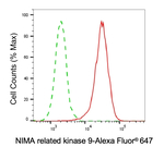 NEK9 Antibody in Flow Cytometry (Flow)