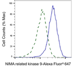 NEK9 Antibody in Flow Cytometry (Flow)