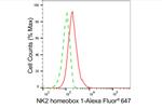 Nkx2.1 Antibody in Flow Cytometry (Flow)