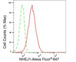 XLF Antibody in Flow Cytometry (Flow)