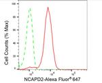 NCAPD2 Antibody in Flow Cytometry (Flow)