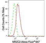 NR2C2 Antibody in Flow Cytometry (Flow)