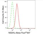 NSDHL Antibody in Flow Cytometry (Flow)